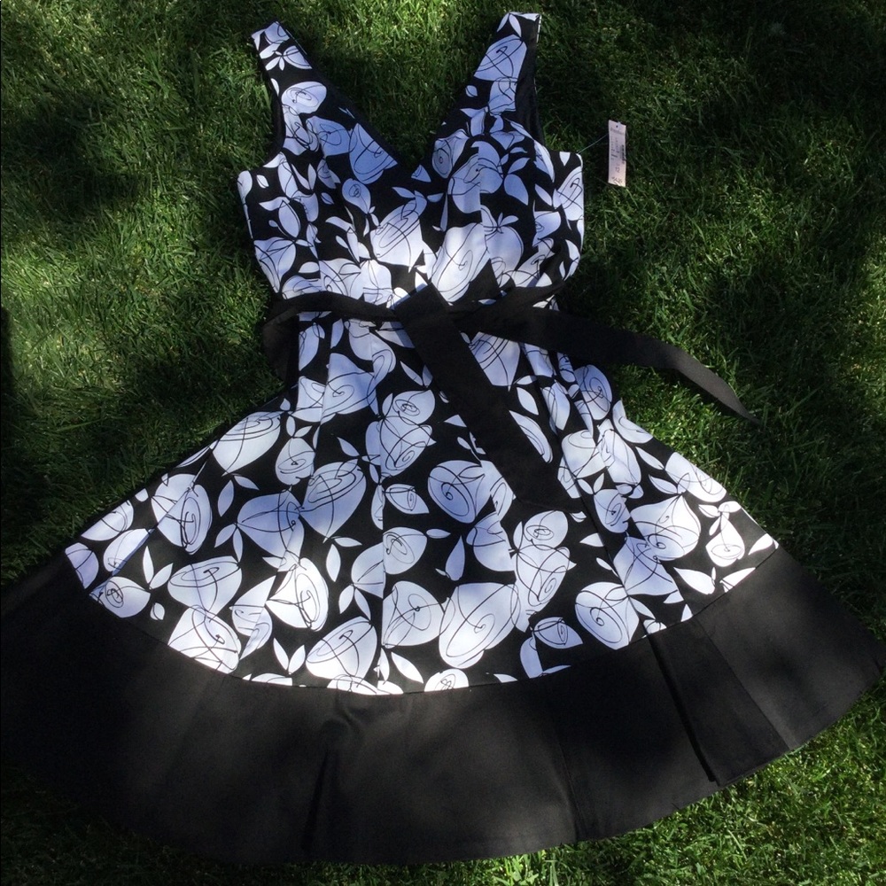 NWT Jones Studio Black and White Summer Dress.